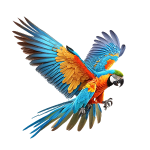Oiseaux