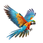Oiseaux