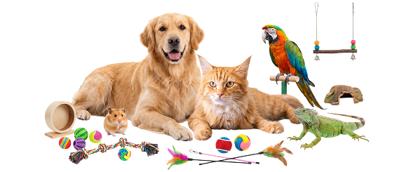 Chez Petconnect, vous trouverez tout pour rendre votre animal de compagnie heureux.