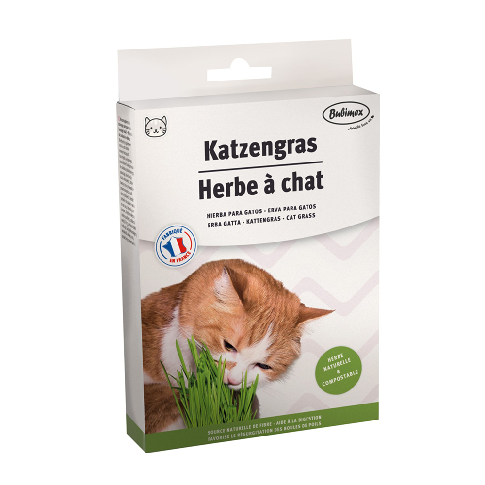 Herbe à chat, à brocher, 100g Herbe à chat, à brocher, 100g