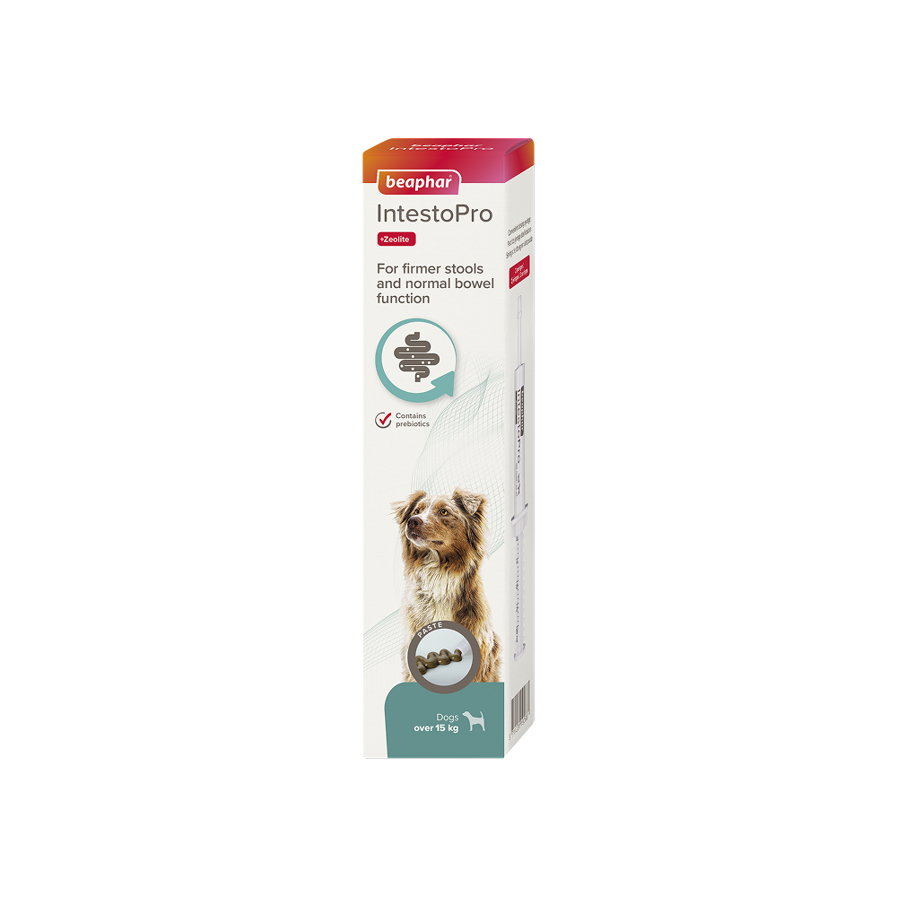 Beaphar IntestoPro Past L Chien - Pâte Selles Fermes 2x20ml Beaphar IntestoPro Past L Chien - Pâte Selles Fermes 2x20ml