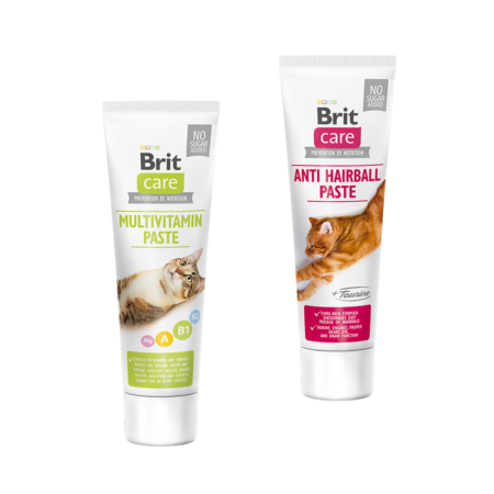 Brit Care Cat Paste 100 g - Anti Hairball with Taurine & Multivitamin
