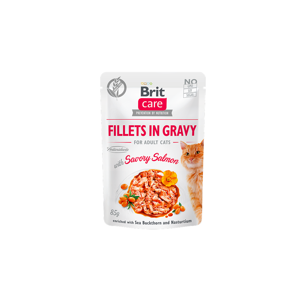 Brit Cat Fillets in Gravy - Salmon_ Nourriture humide Complète Brit Cat Fillets in Gravy - Salmon_ Nourriture humide Complète
