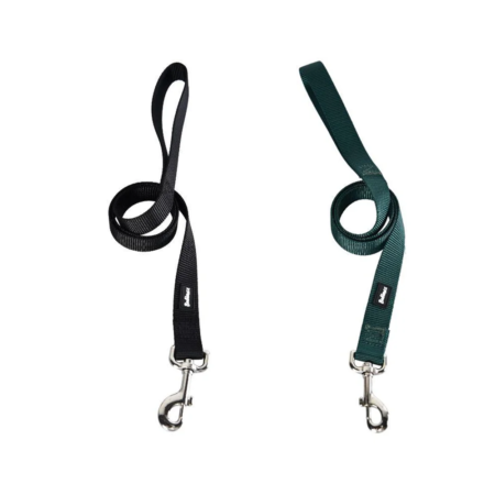 Bubimex Laisse Nylon 20mm & 100cm - Noir & Vert (Pour Chien)