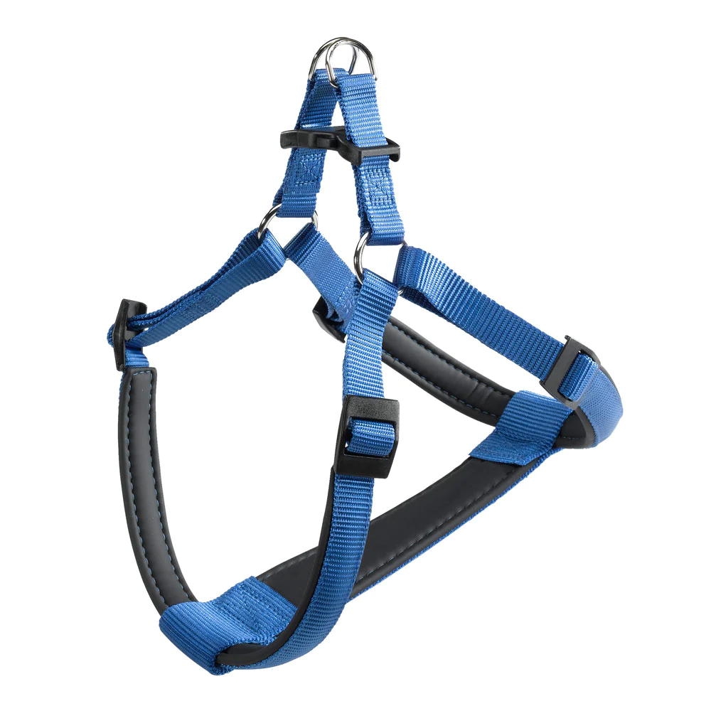 DAYTONA-P-L-HARNESS-BLUE-2-1.webp