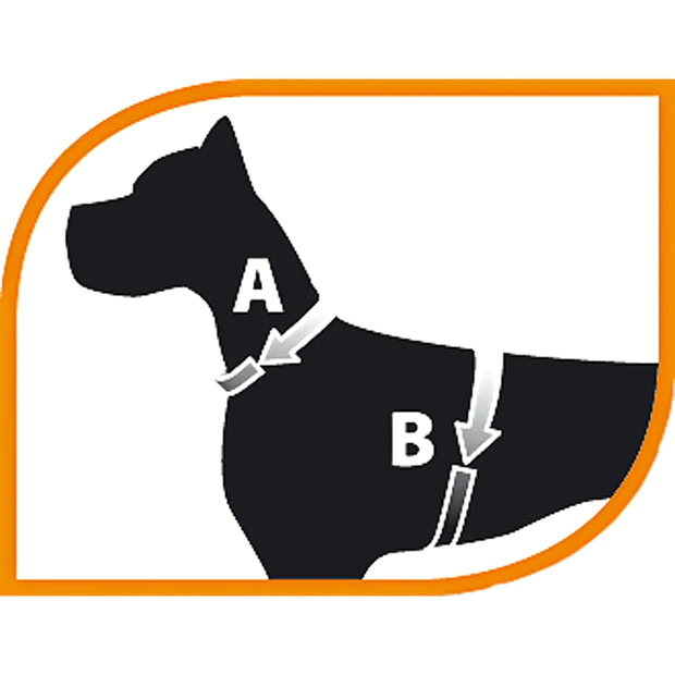 EASY-P-L-HARNESS.webp