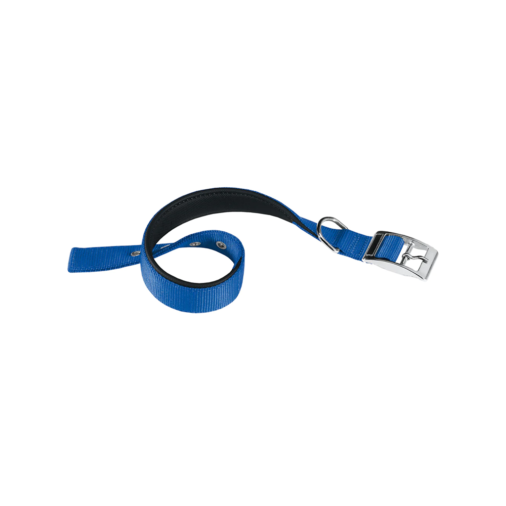 Ferplast - Collier Chien Nylon Bleu (A_ 37-45 cm & B_ 25 mm) Ferplast - Collier Chien Nylon Bleu (A_ 37-45 cm & B_ 25 mm)