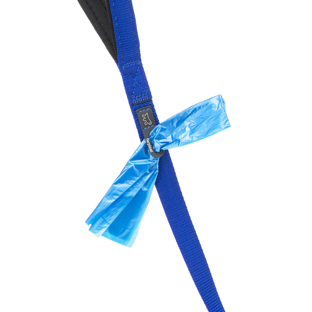 Ferplast Laisse Nylon Chien Rembourrée 20mm x 120cm Bleu Ferplast Laisse Nylon Chien Rembourrée 20mm x 120cm Bleu