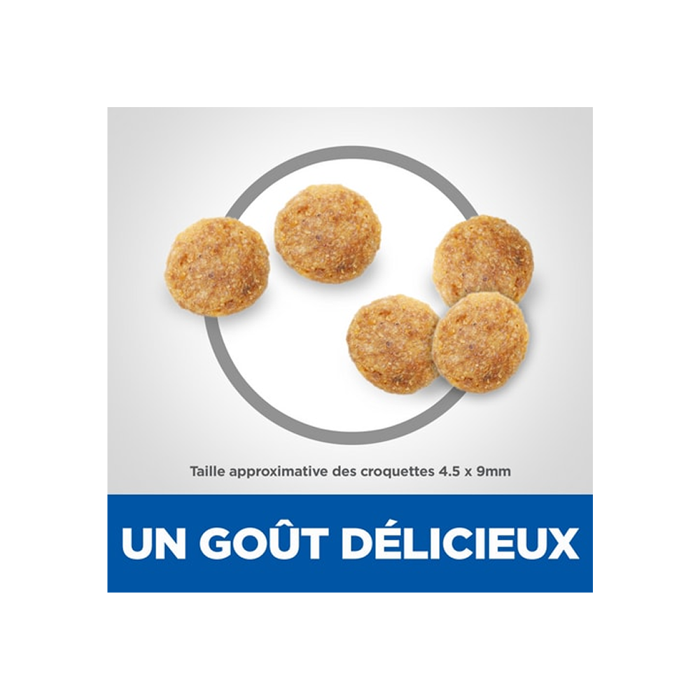 Hill’s Science Plan Aliment Pour Chat Adulte au poulet(300g-1.5kg-3kg-10kg-15kg) 3 Hill’s Science Plan Aliment Pour Chat Adulte au poulet(300g-1.5kg-3kg-10kg-15kg) 3