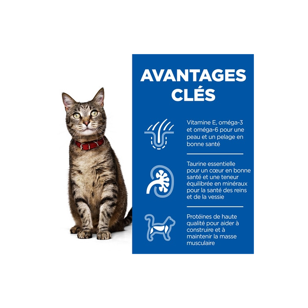Hill’s Science Plan Aliment Pour Chat Adulte au poulet(300g-1.5kg-3kg-10kg-15kg) 4 Hill’s Science Plan Aliment Pour Chat Adulte au poulet(300g-1.5kg-3kg-10kg-15kg) 4