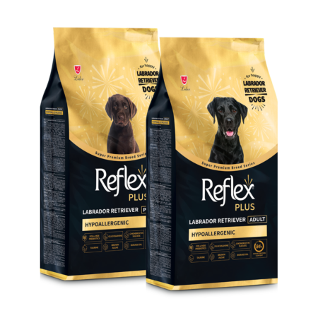 Reflex Plus Croquettes Labrador Retriever 8kg - Chiot & Adulte