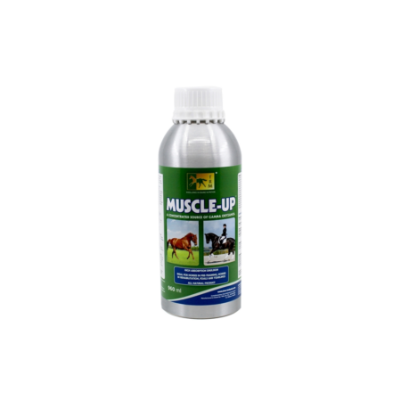 TRM Muscle Up 960ml – Développement Musculaire Cheval