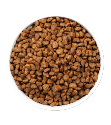 ULTRA-CAT-AGEING-FISH_3KG_PLATO.webp