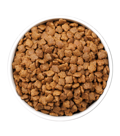 ULTRA-CAT-YOUNG_3KG_PLATO.webp