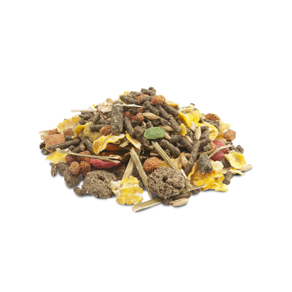 Versele Laga Crispy Muesli Cobaye 1kg Versele Laga Crispy Muesli Cobaye 1kg