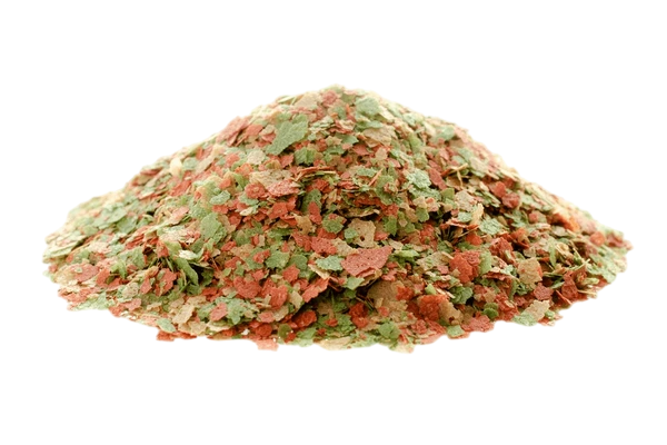 fish feed Aquarium