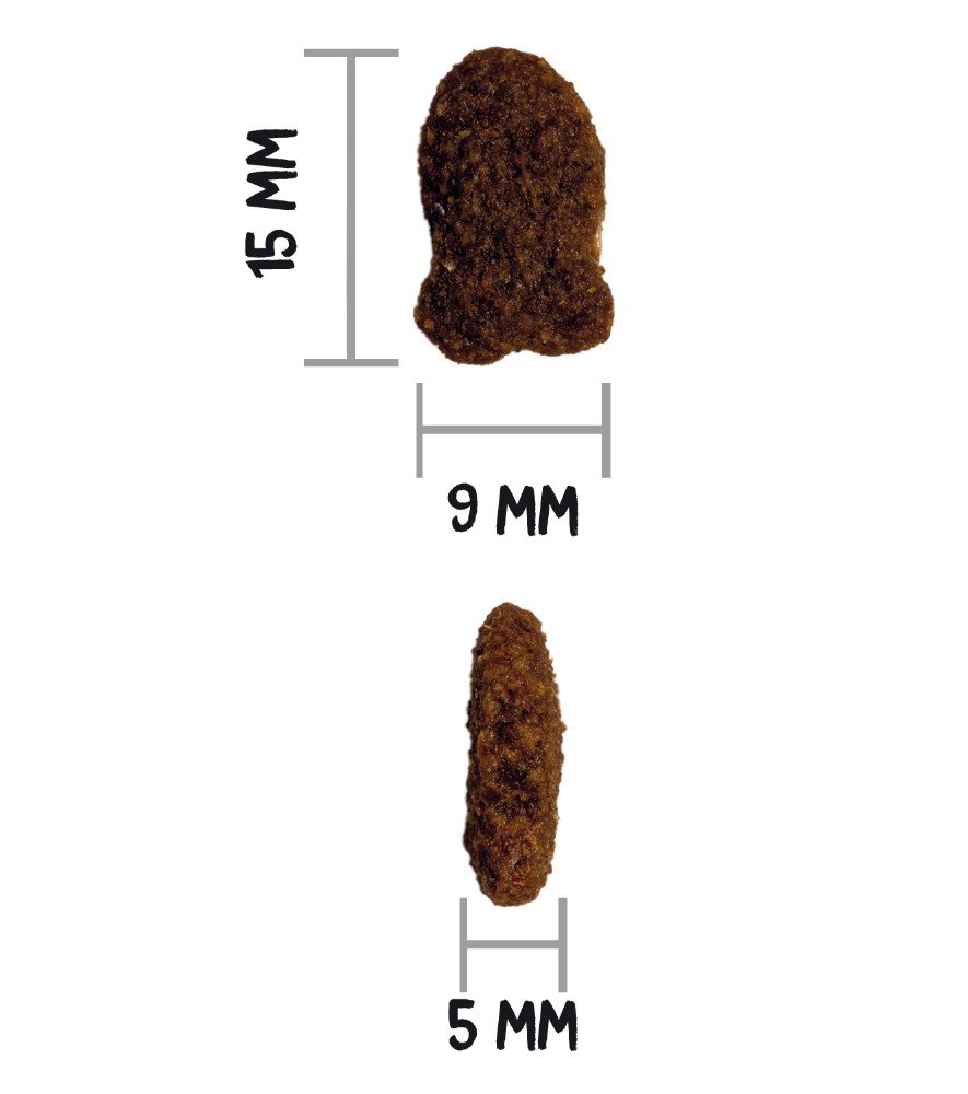 ow-classic-fish-cat-croquetaadl.jpg