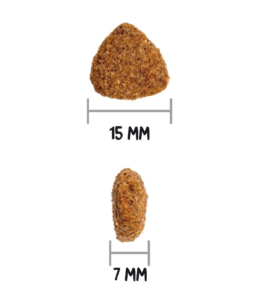 ow-classic-light-dog-croquetaadl.jpg