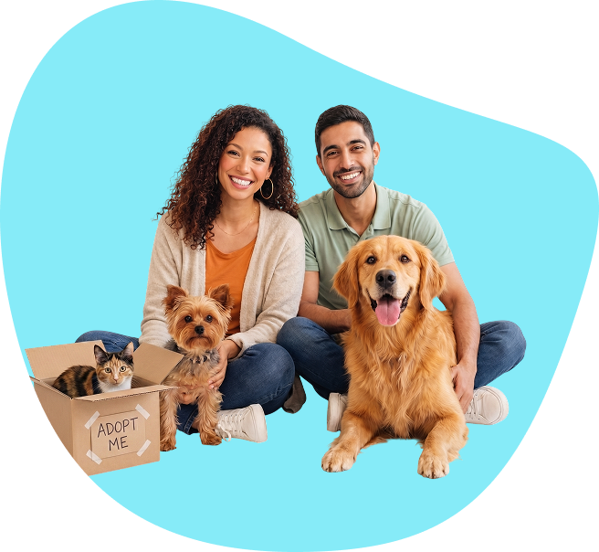 À propos de PetConnect | Animalerie, adoption et animaux perdus au Maroc