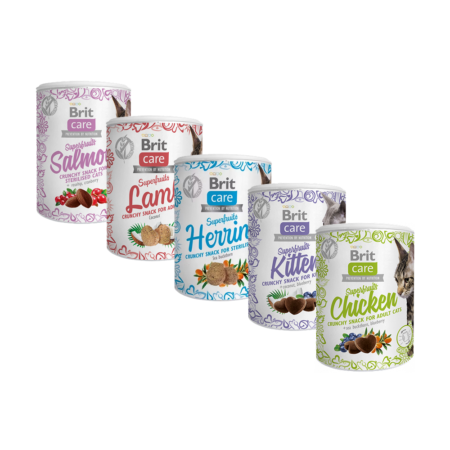 Brit Cat Snack Superfruits 100g - Multivariétés