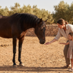 Personne approchant un cheval calmement en observant son langage corporel et ses signes de stress ou de confiance