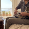 Couper les griffes d’un chat avec un coupe-griffes adapté
