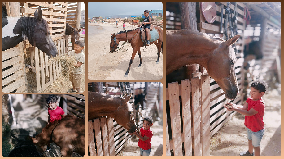 Les enfants et le cheval : réussir le premier contact en toute sécurité