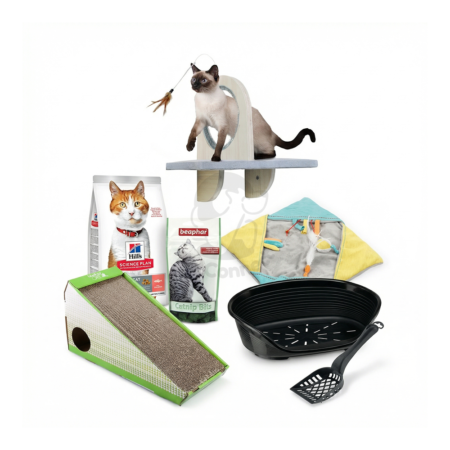 Pack Chat Appartement - Nutrition et Accessoires