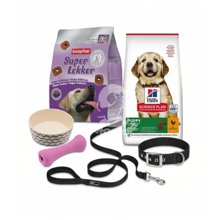 Pack Chiot - Croissance Optimale et Accessoires