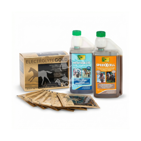 Pack Basic Cheval - Essentiel Performance