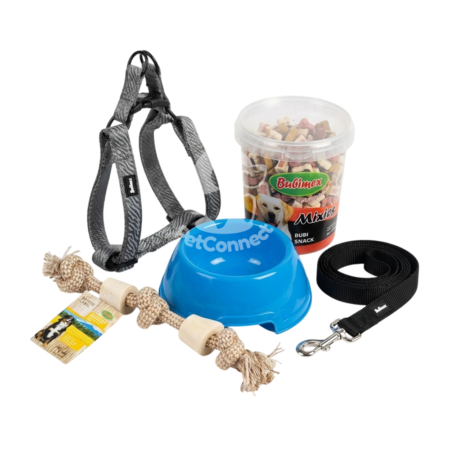 Pack chien actif