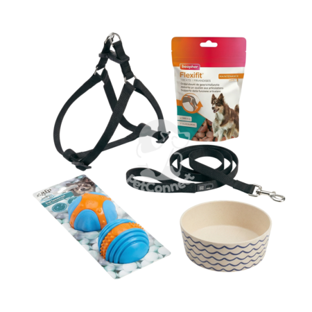 Pack Chien Actif - Énergie & Vitalité