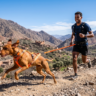 Homme et son chien actif en randonnée dans les montagnes de l'Atlas au Maroc.