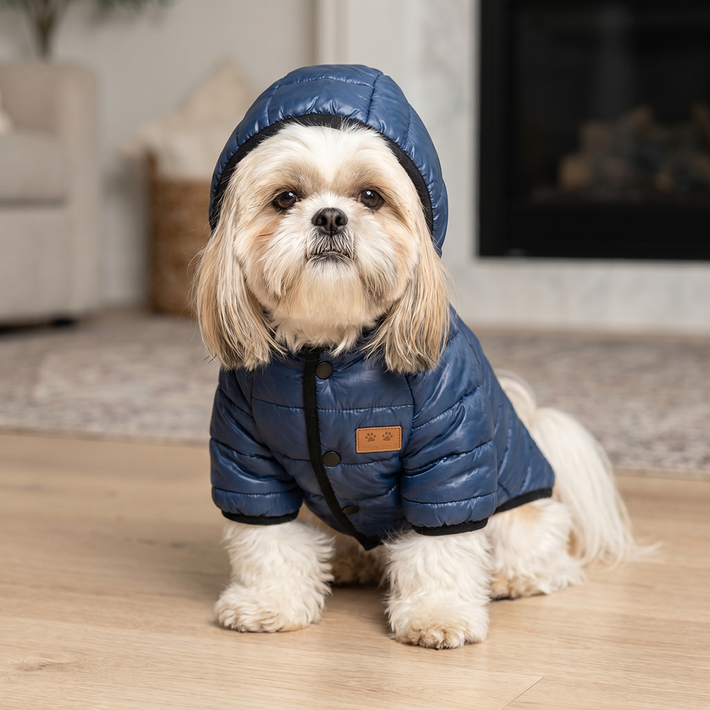Manteau Chien Bleu - S Manteau Chien Bleu - S
