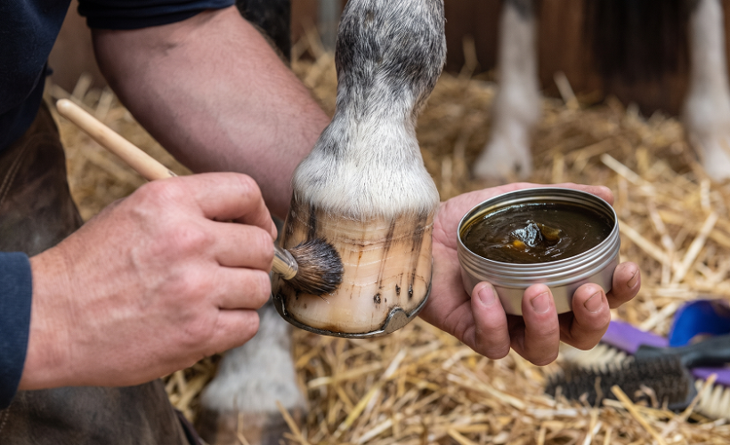 Sabots cheval entretenus avec un soin hydratant pour prévenir les fissures