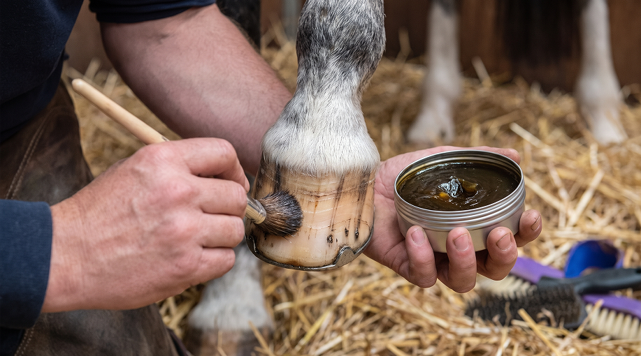 Sabots cheval entretenus avec un soin hydratant pour prévenir les fissures