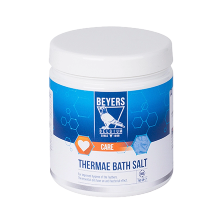 Thermae Bathsalt Beyers 750g