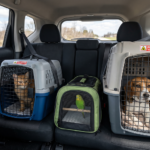 Caisse transport oiseau, chat et chien utilisée pour voyager en voiture en toute sécurité