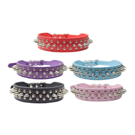 Collier clouté pour chien