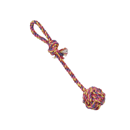 Corde multicolore avec balle tressée et poignée