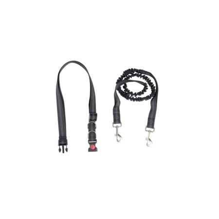 Laisse traction jogging canicross avec ceinture dorsale L120cm