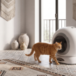 Litière automatique chat autonettoyante au Maroc