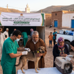 Vaccination antirabique Maroc pour chiens et chats en septembre 2026