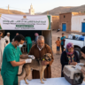 Vaccination antirabique Maroc pour chiens et chats en septembre 2026